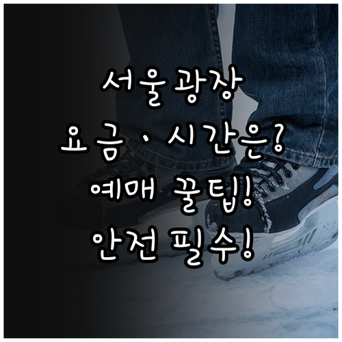 2025-2026 서울광장 스케이트장..