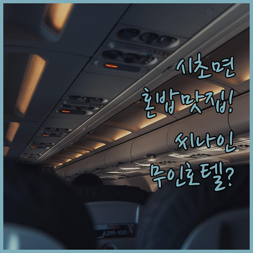 서천 시초면 혼밥 하기 좋은 백반집 ..