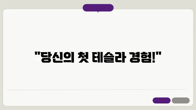 테슬라 시승