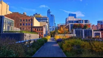 뉴욕 뉴욕 도보투어 추천 코스 BEST 5로 야경 브루클린 다운타운까지_21