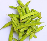 구아검 가수분해물