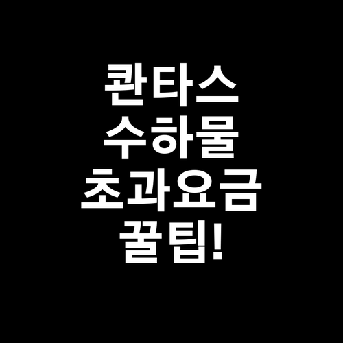 콴타스항공 위탁수하물 규정과 초과 요..