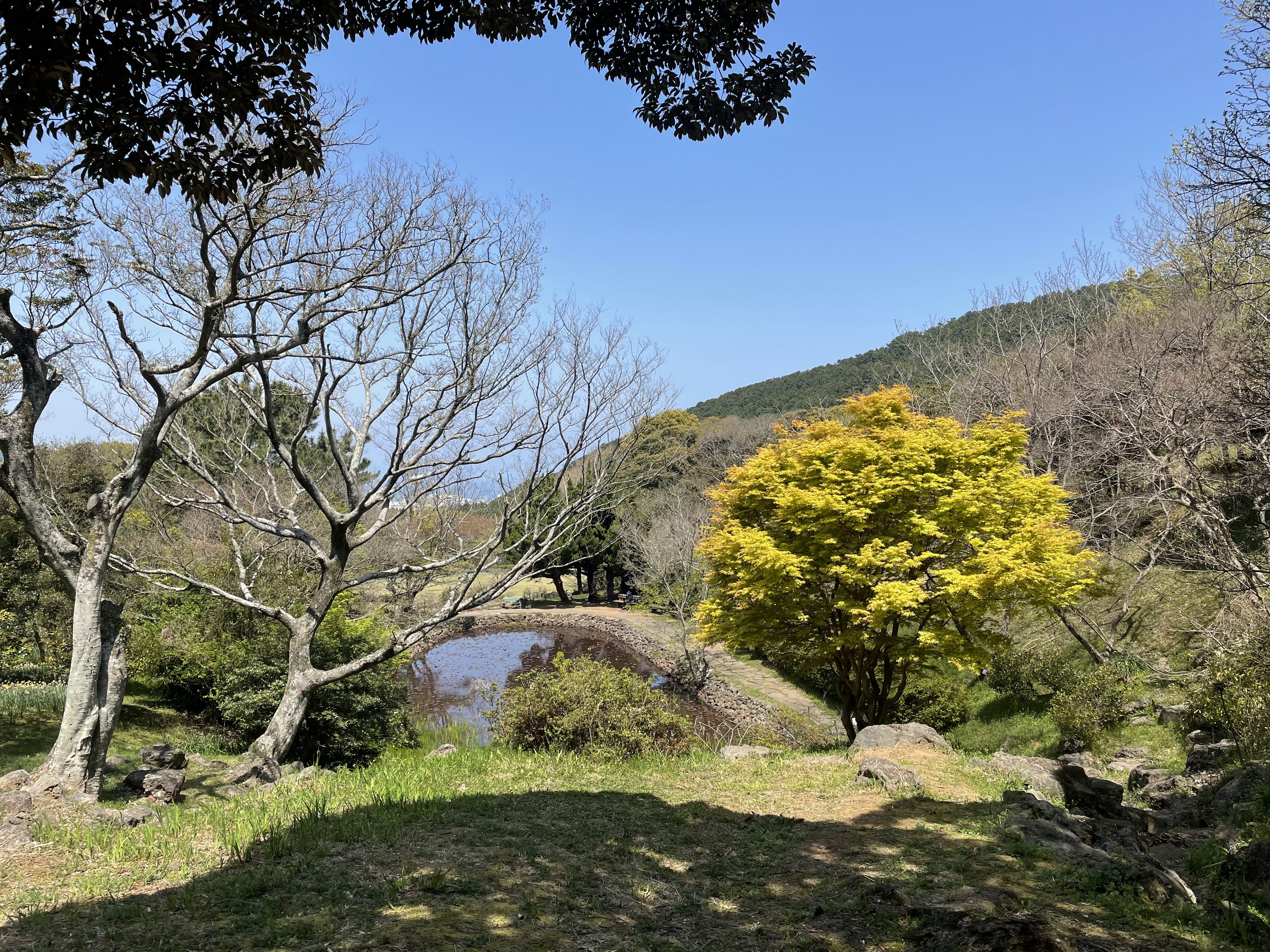 제주공항_근처_갈만한곳
