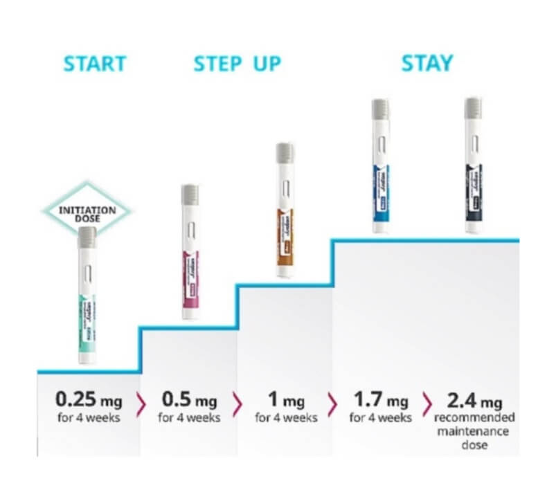 위고비 관련 사진