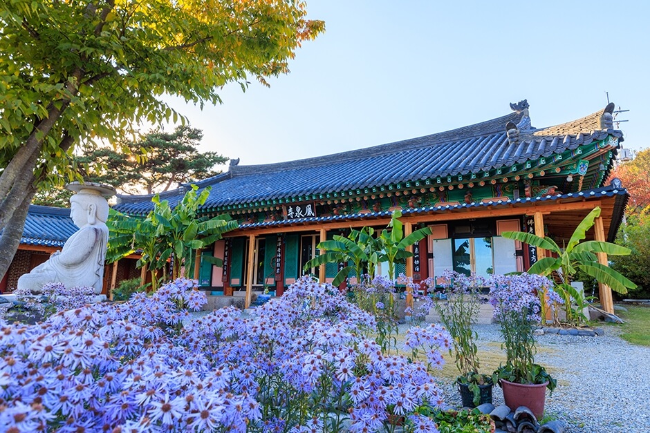 문경 봉천사 개미취 축제 일정 및 포토스폿, 맛집, 주변명소 사진