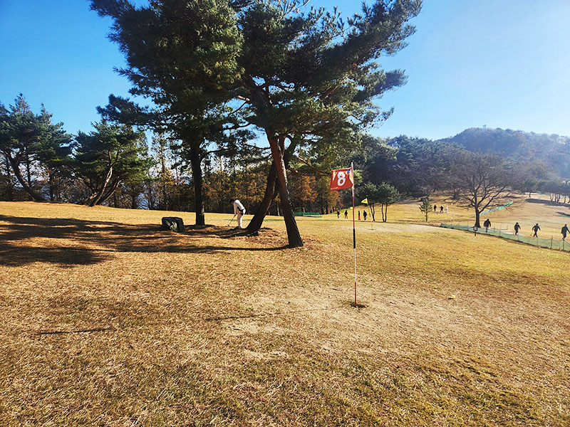 경주 화랑의 언덕 파크골프장. 경북 경주시 산내면 내일리 산261-2