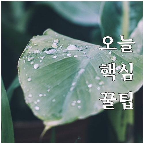 당신의 상생페이백, 안전하게 100%..