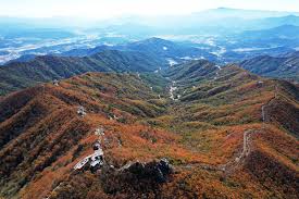 대봉산 숲속힐링