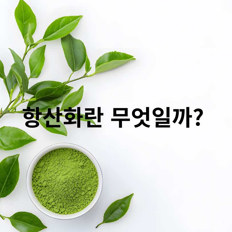 항산화 영양제 주사의 효과와 부작용