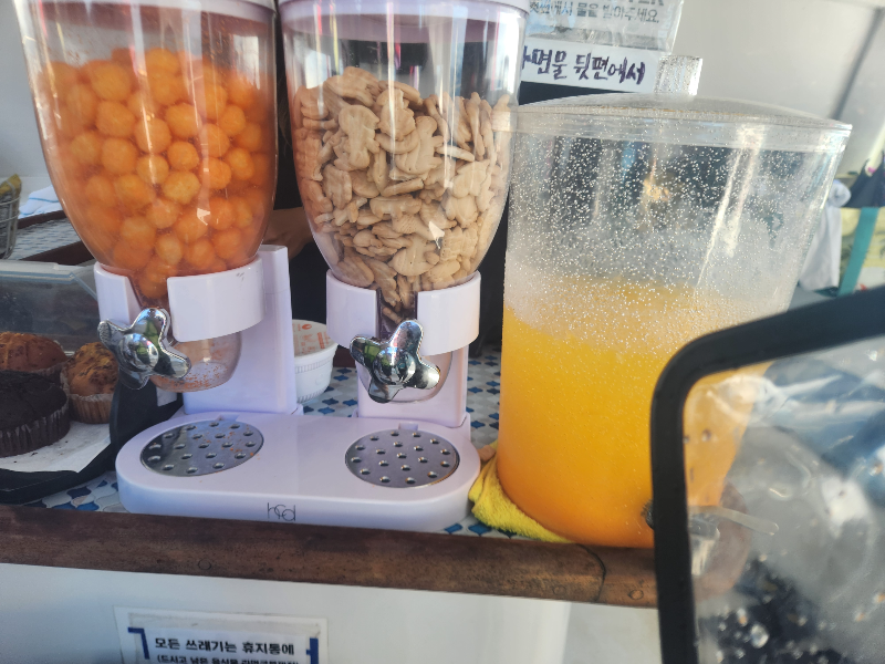 하와이 거북이 스노클링 ( 터틀 스노클링 ) 블루오션 스노클링 음식