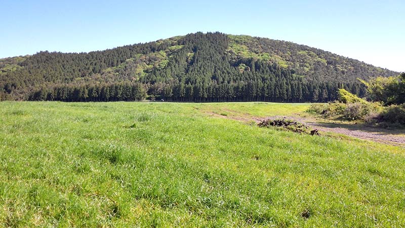 물영아리와 물보라길