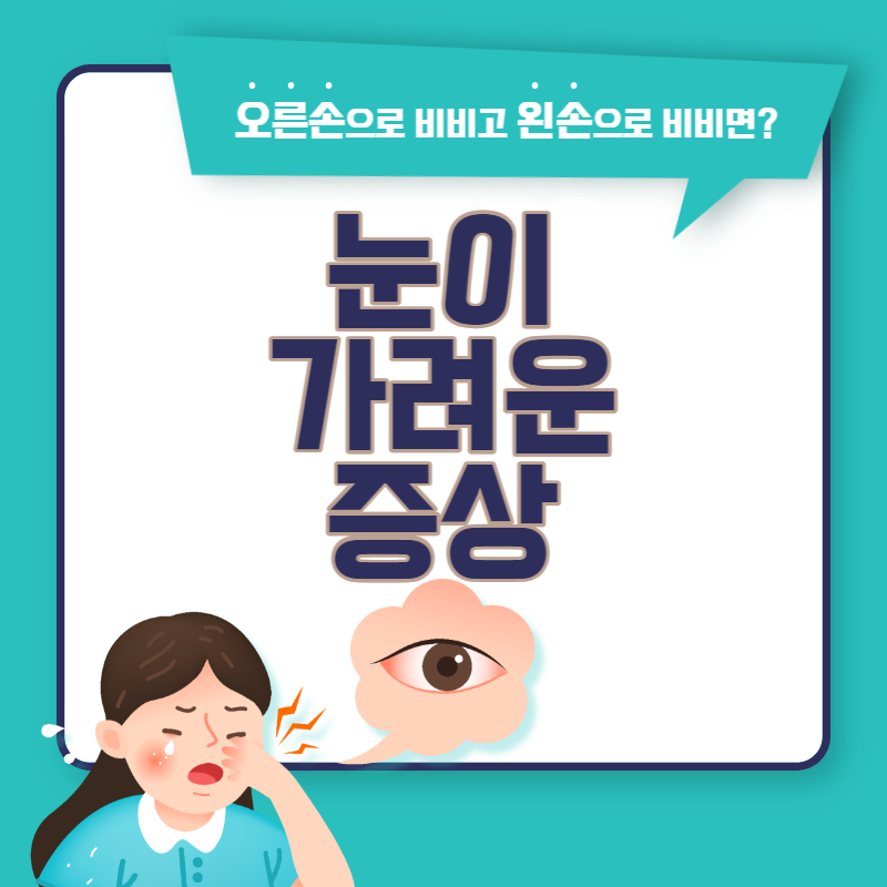 눈이 가려운 증상