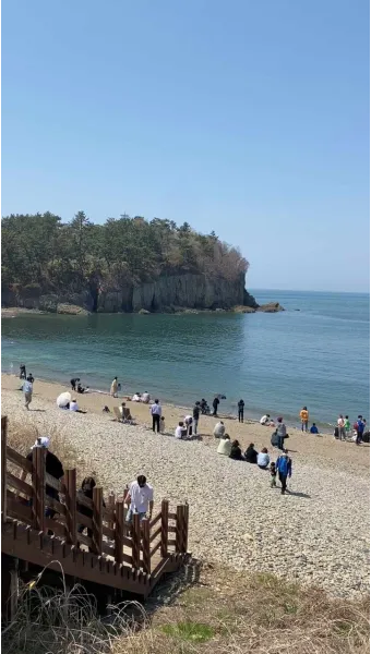 부안 수성당 유채꽃 히든스팟 개화시기_10