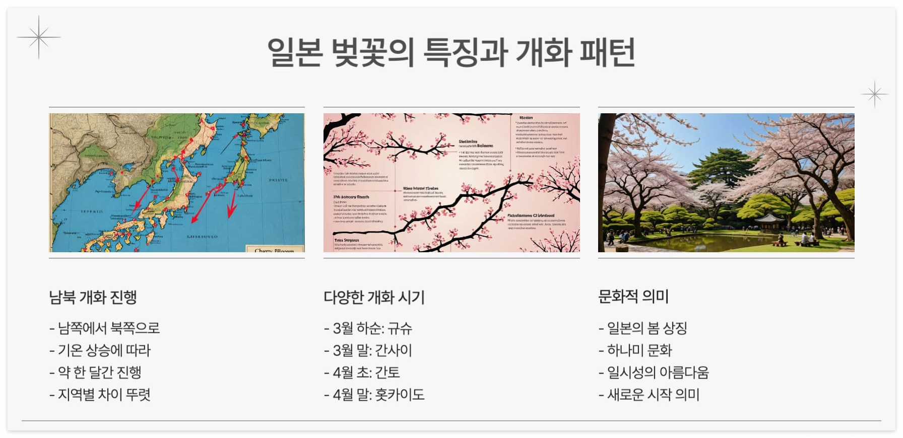 일본-벚꽃-개화-특징