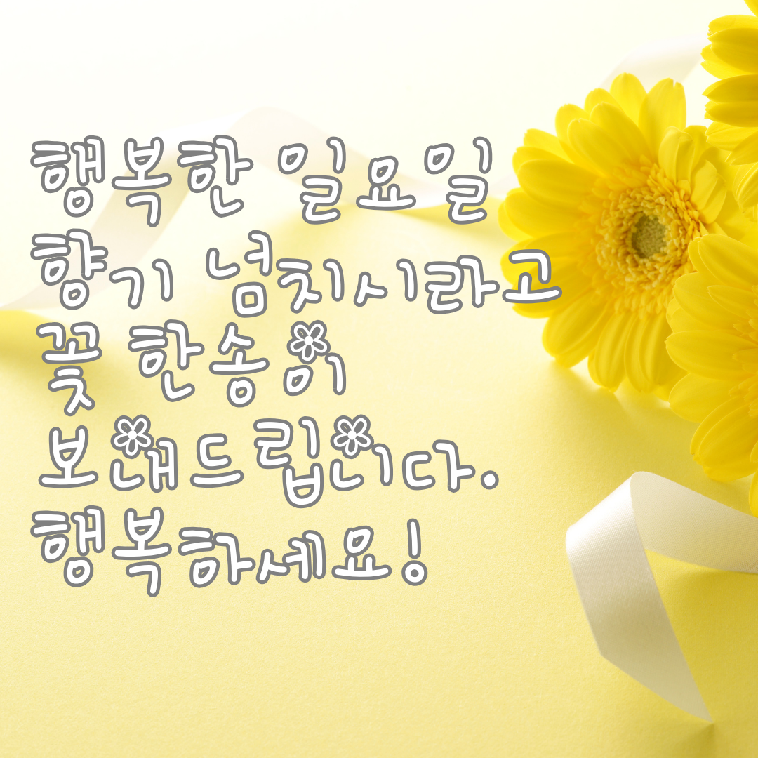 일요일 아침 인사말 이미지 문구 모음집