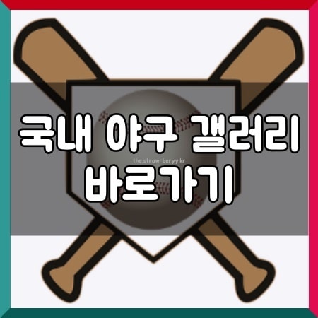 국내 야구 갤러리 새로운보수당