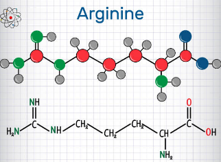 아르기닌 부작용, 아르기닌의 효능, 복용법 총정리 (2025ver)