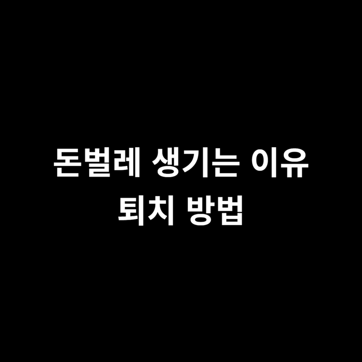 돈벌레 나오는 이유