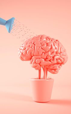 오메가3 효능 추천 순위 여성 필수 오메가3 복용시간 복용법 부작용