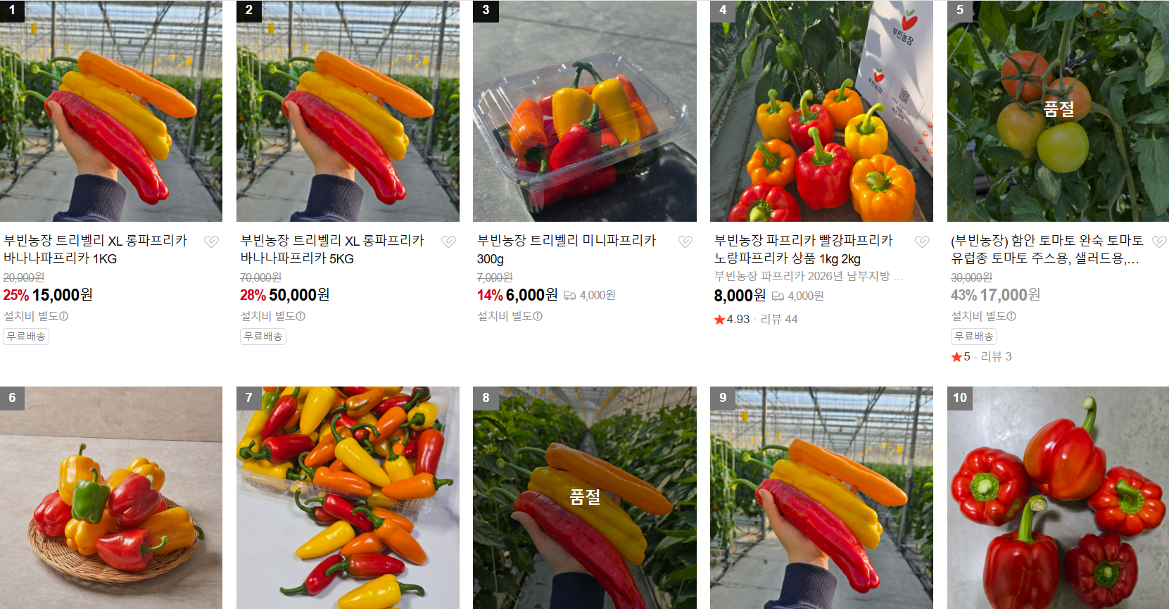 6시 내고향 소개 트리벨리 파프리카