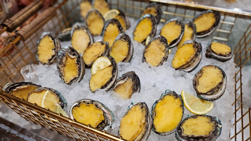 인스파이어 쉐프스키친18