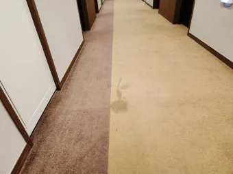 카펫 얼룩 탄산수 분무 후 흡수하는 페트병 롤러 팁_23