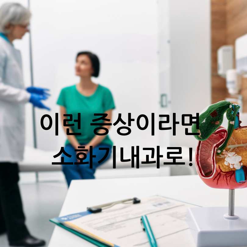소화기내과 진료과목