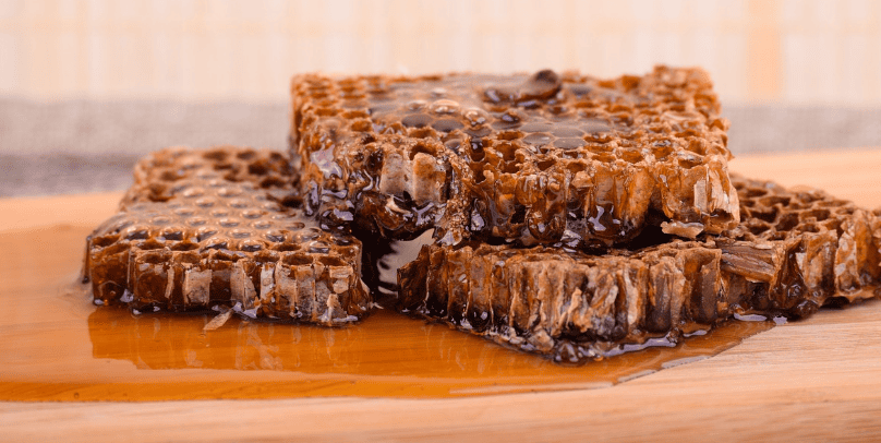 벌꿀과 벌꿉집의 모습