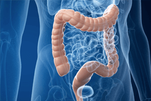 대장에 좋은 음식03