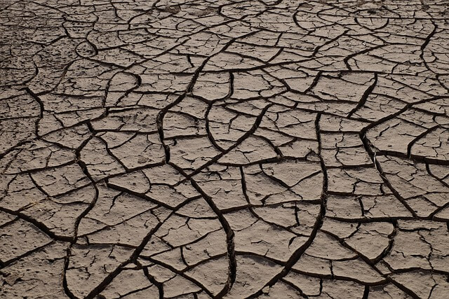 장기 방치된 토지 상속에 대한 법적 소유권 이전