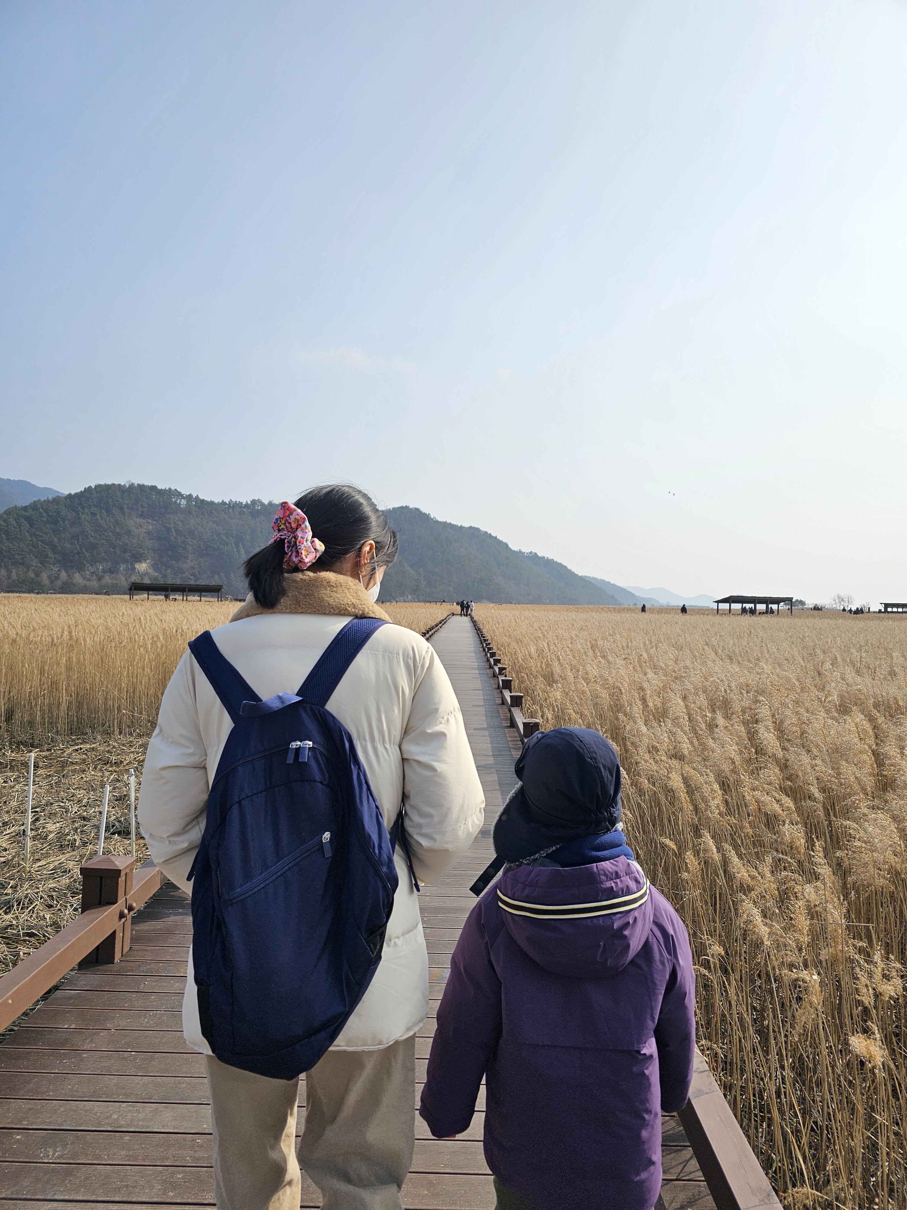아이와 여행 순천만습지