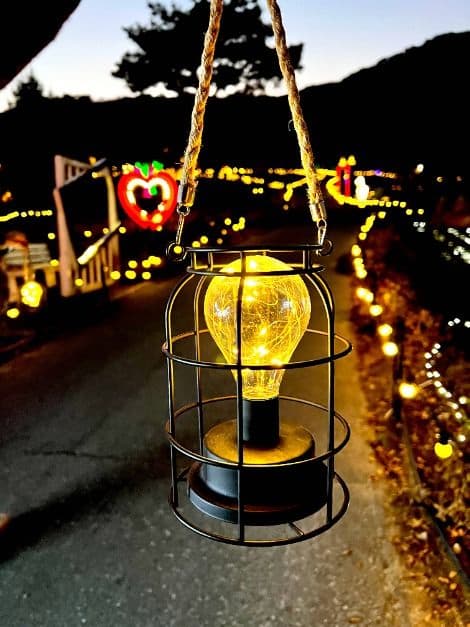 [서울 근교 여행지]산들소리 수목원 &amp; 낭만등불축제 후기