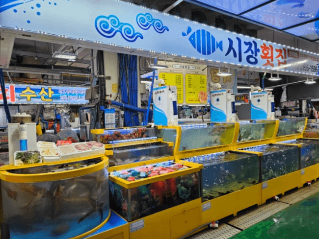 [6시 내고향] 삼척중앙시장&amp;#44; 참가자미 시장횟집&amp;#44; 문어 장호문어&amp;#44; 참나물메밀전 만득분식&amp;#44; 오징어 삼척대왕횟집&amp;#44; 멍게젓갈&amp;#44; 토마토 과일가게