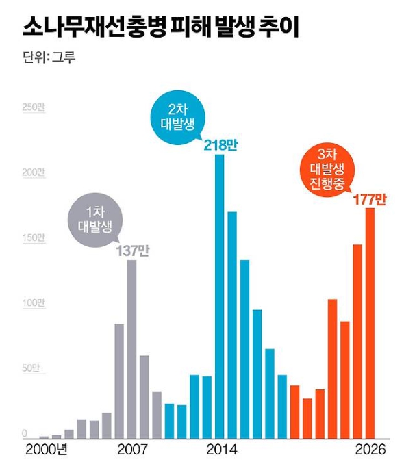 소나무 재선충