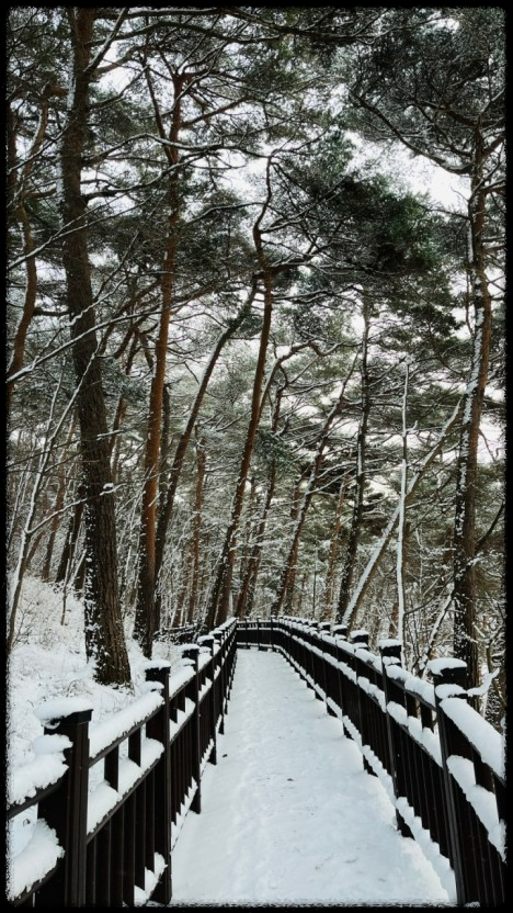 국내 겨울 설경 여행지 Best 10: 눈 덮인 명소와 일출&middot;일몰 스팟