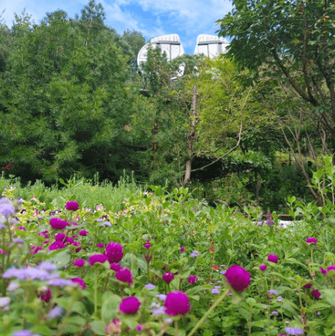 2025년 화담숲 예약