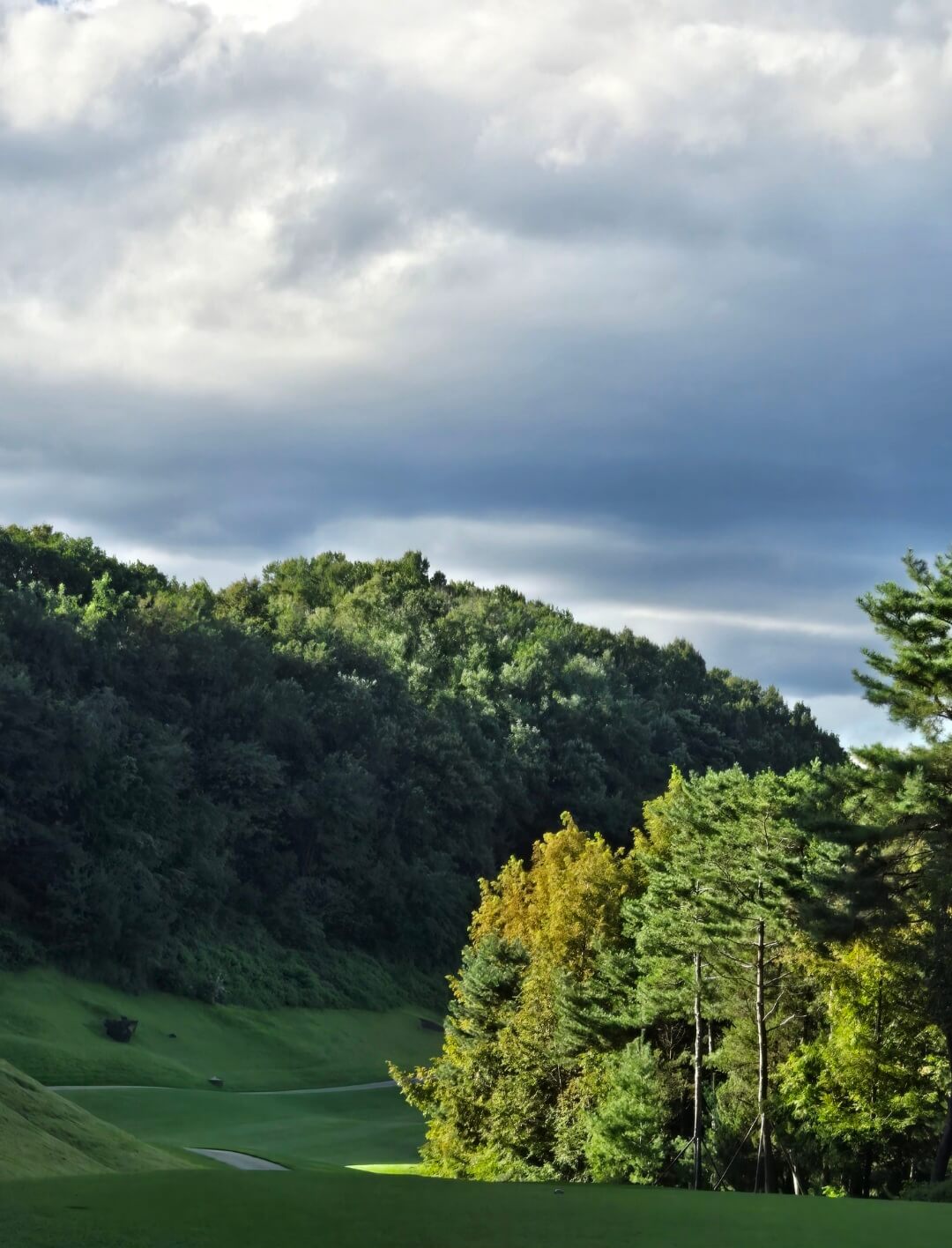 포천힐스CC 가든코스