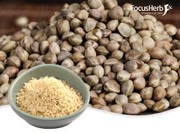 대마종자유 효능과 먹는 방법 