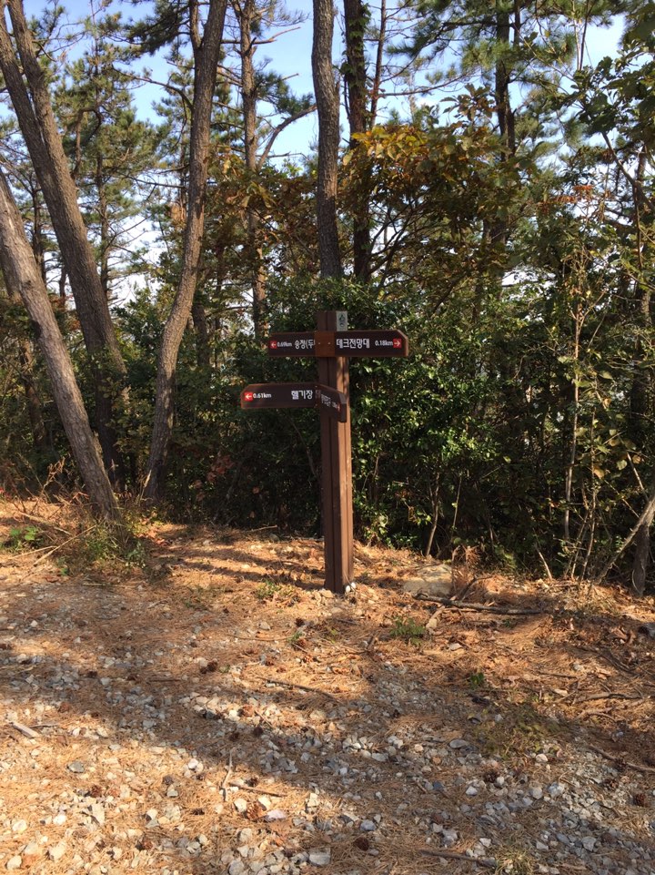 해운대 산책코스 송정옛길