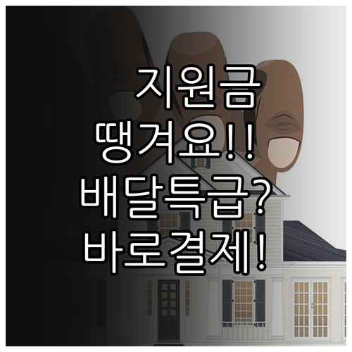 공공배달앱 땡겨요 배달특급 민생지원금..