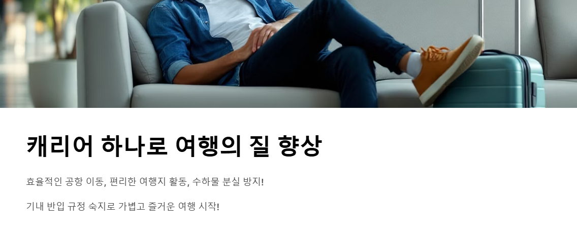 기내 반입 캐리어 사이즈 무게 총정리