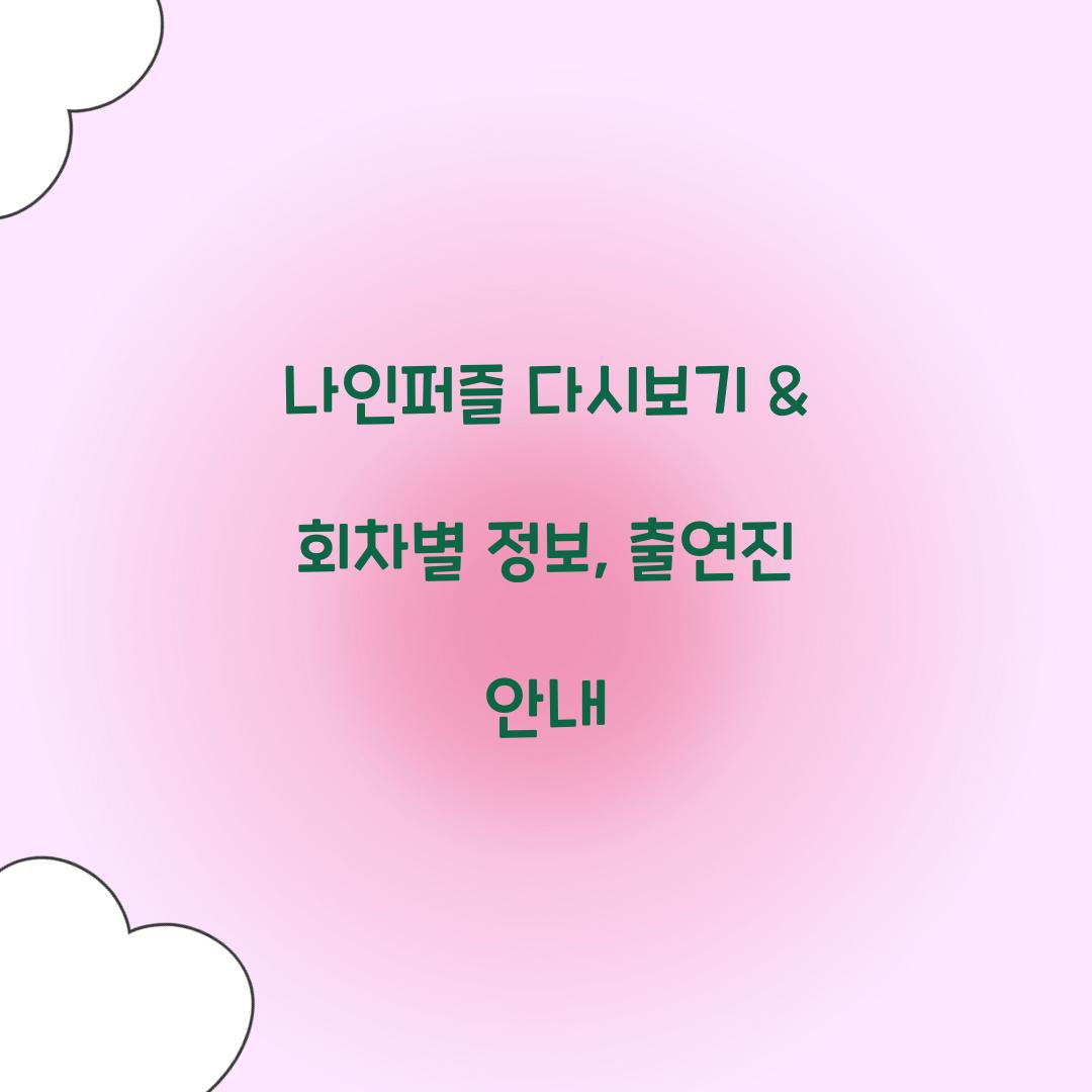 나인퍼즐 다시보기