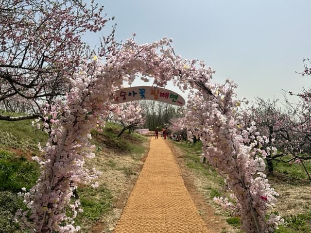[4월 축제]서울근교 봄꽃 축제❘부천 춘덕산 복숭아꽃 축제❘복숭아꽃 개화가 절정이에요. 맛집 추천