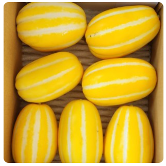 다자녀 가정 농수산물 지원사업