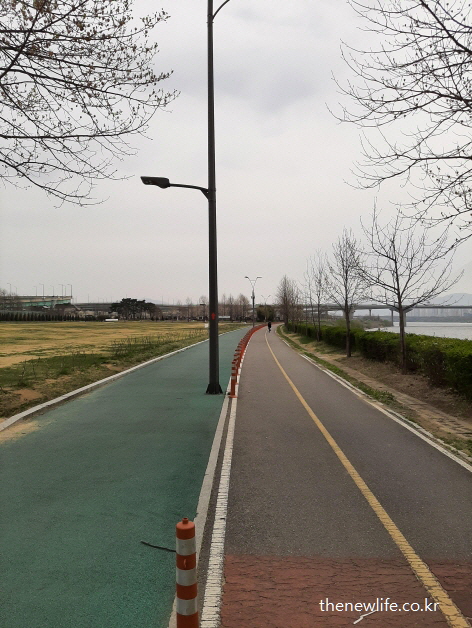 한강변 초록색 탄성 포장길이 시작되는 지점, 시멘트 길과의 경계 모습