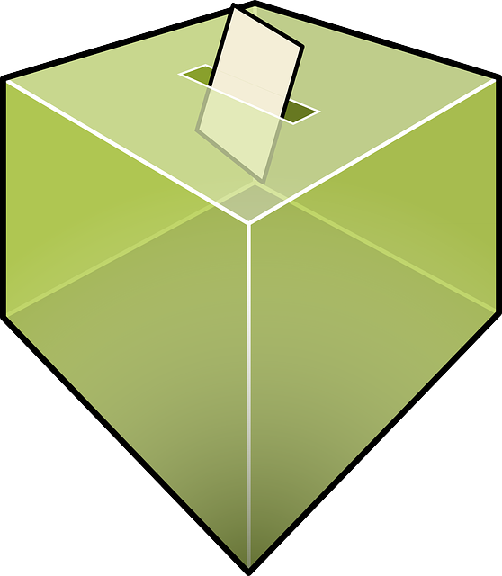 2025 대선 사전투표 날짜 확인하기