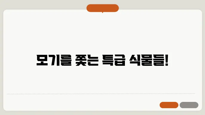 모기가 싫어하는 식물