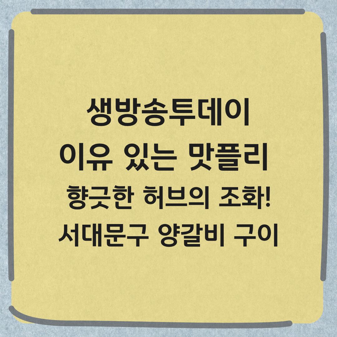 생방송투데이 이유있는맛플리 모로코식 양갈비 구이 서대문구 지중해식 레스토랑