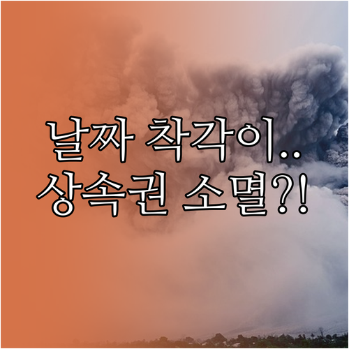 결혼식 날짜 착각이 부르는 상속권 상..