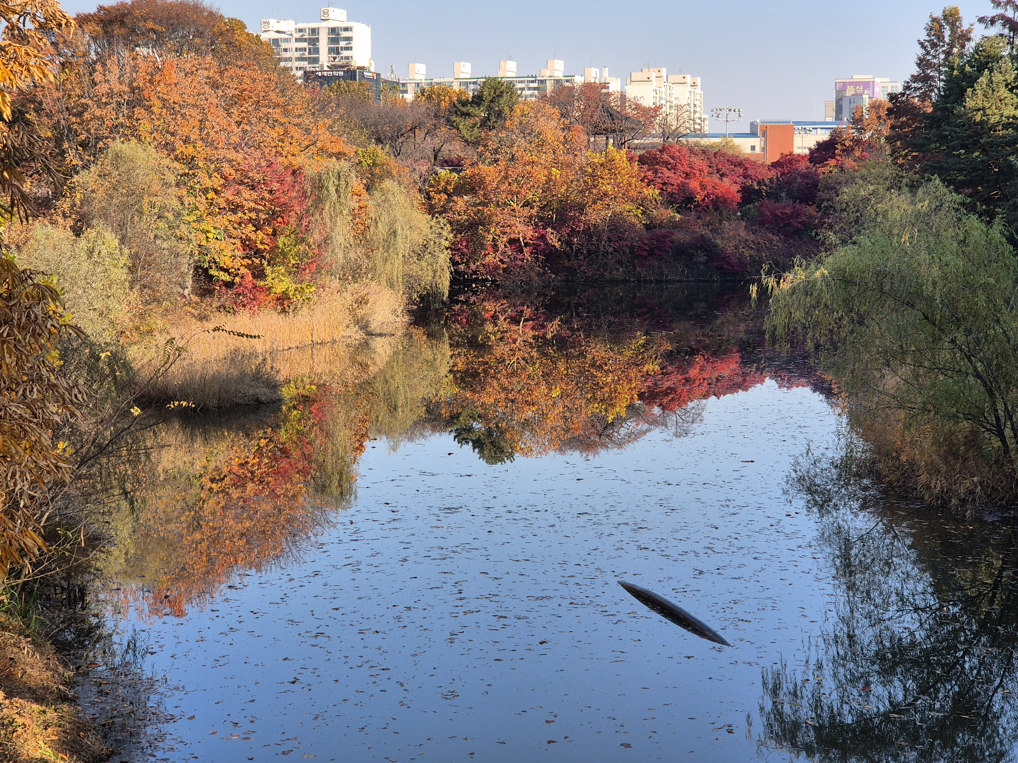 몽촌호의 단풍풍경
